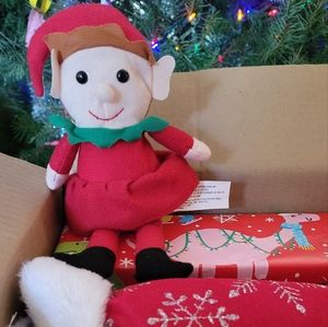 Mystery Christmas Box